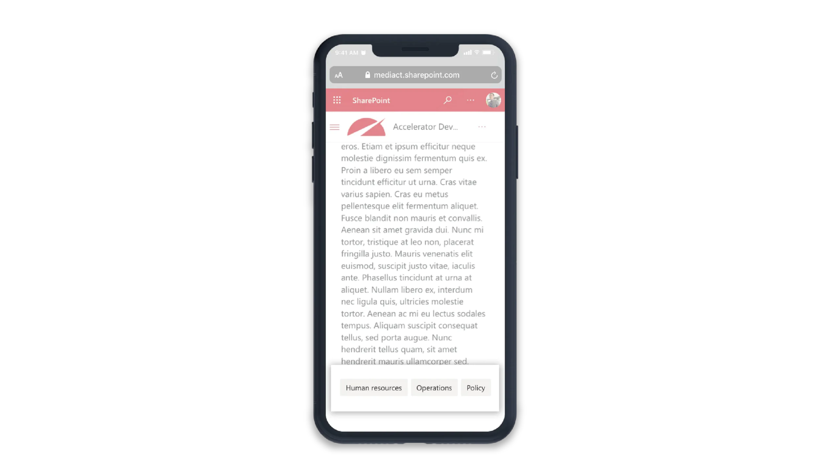 Page Tags